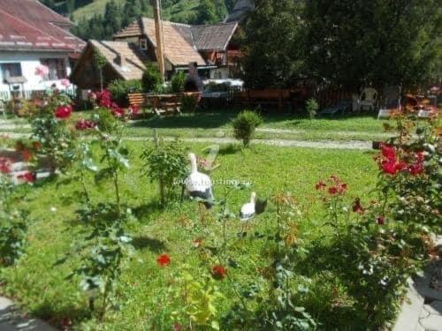 Casa Maria Moieciu C Hotel Felsőmoécs Kültér fotó
